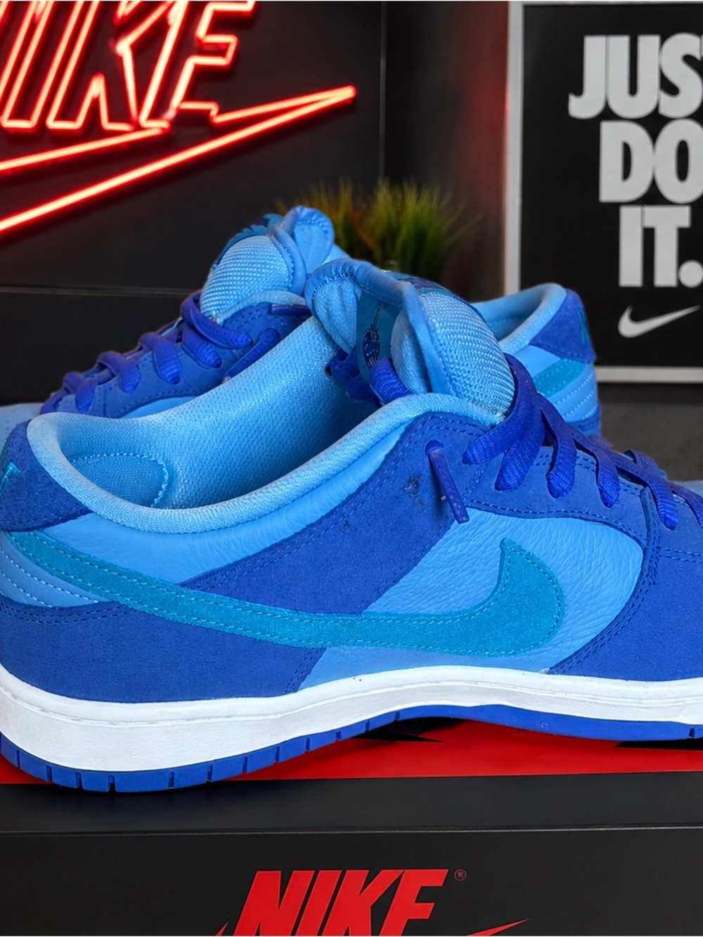 Nike Men's Dual-Tone Blue Low-Top Sneakers